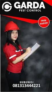 Garda Pest Control Jasa Pembasmi Tawon dan Lebah di Bandung