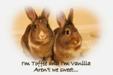 My Sweet Bunnies