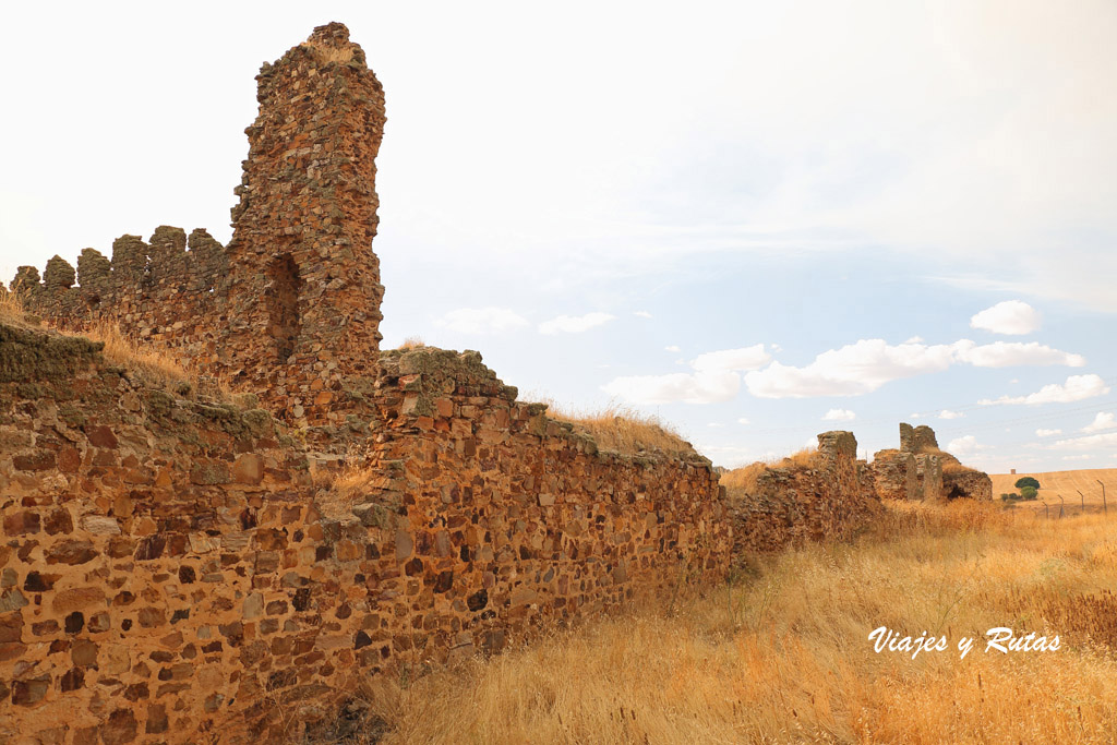 Castillos de Zamora - Castrotorafe