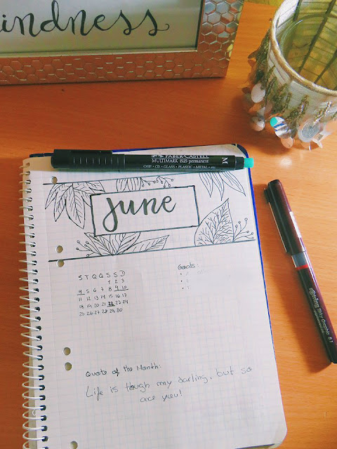 Bullet Journal: Junho