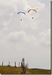 IMGP2450