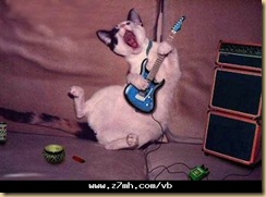 cat9