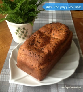 http://countrycottagemusings.blogspot.ca/2014/08/adventures-in-bread-making-take-4.html