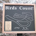 Christmas Bird Count in Central Park...