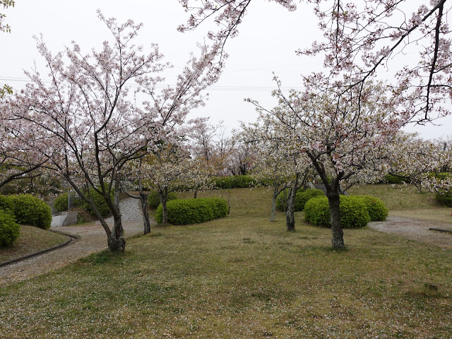 鳥取県西伯郡大山町御来屋　名和公園