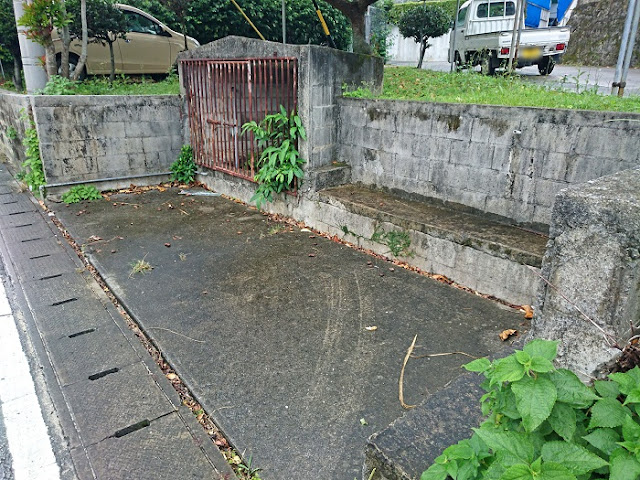 道路沿いにあった井泉の写真