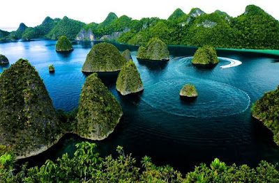 Wisata Air Bawah Laut Raja Ampat