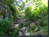 DSCN3460