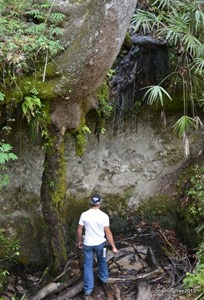 Weeping Ridge