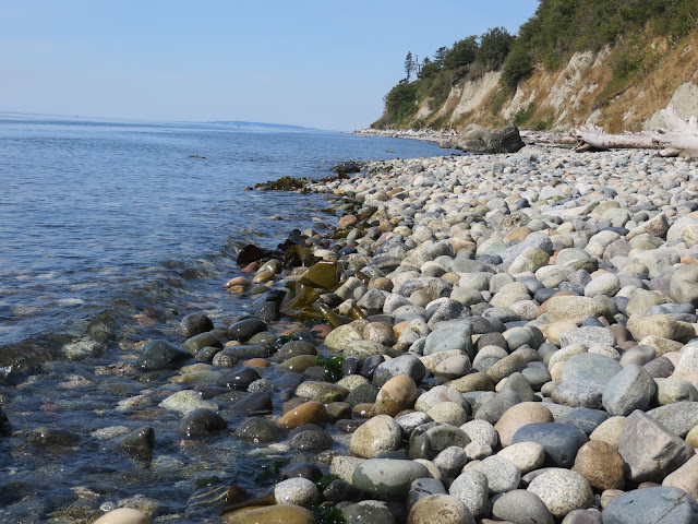 Point Whitehorn Marine Reserve