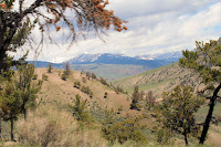 Heading to Mammoth from inside Yellowstone