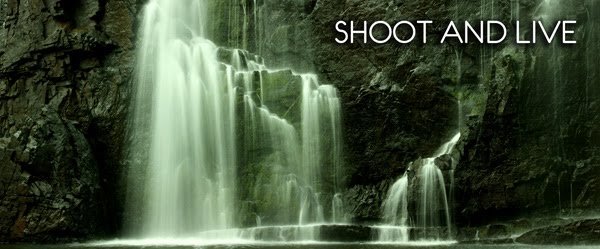 Shoot and Live