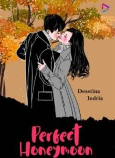 Novel Perfect Honeymoon Karya Desstina Indria PDF