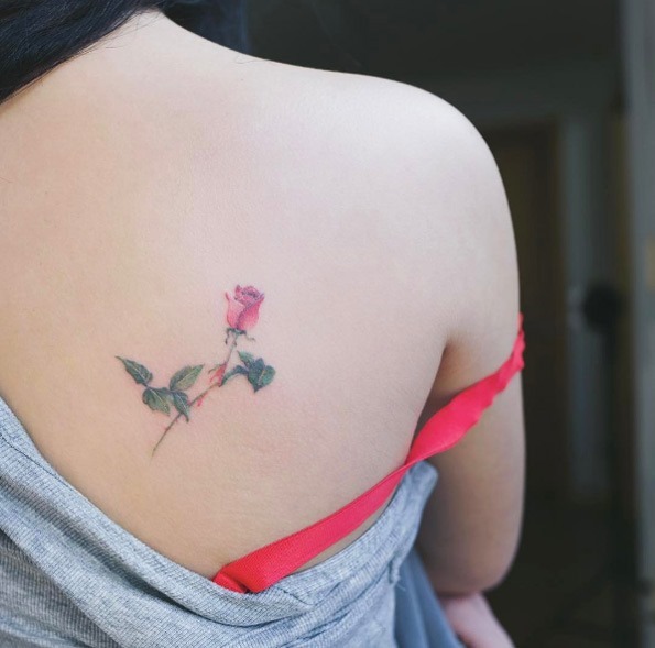 esta_rosa esta_rosa