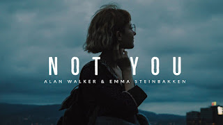 Lirik Lagu dan Terjemahan Not You - Alan Walker