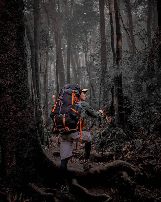 Mendaki gunung membuat tulang padat dan cegah osteoporosis - foto instagram ecoari__