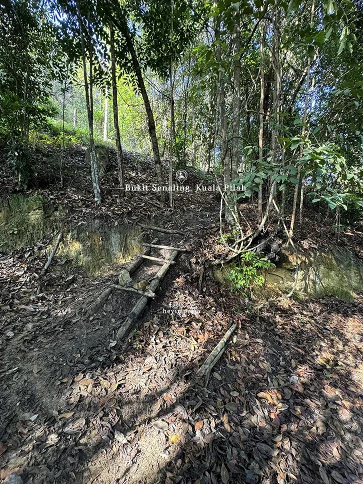 Hiking Bukit Senaling Kuala Pilah