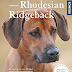Herunterladen Rhodesian Ridgeback: Auswahl, Haltung, Erziehung, Beschäftigung (Praxiswissen Hund) Bücher