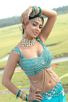 Shriya, hot, saree, and, blouse, stills