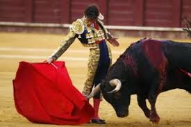 gambar banteng dan matador