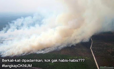 Oknum Pembakaran Hutan