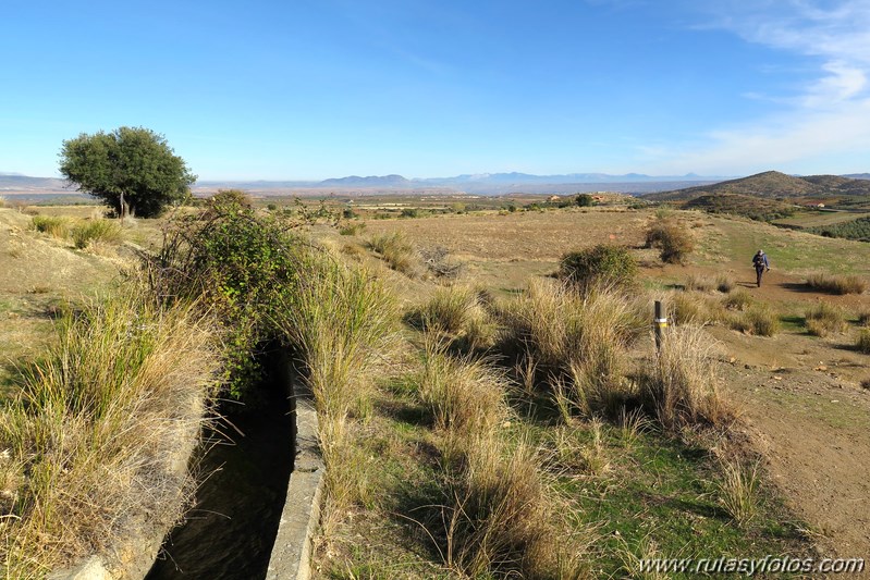 Dehesa del Camarate