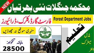 Forest Department KPK Jobs 2023 Latest Advertisements - Download Application Forms