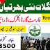 Forest Department KPK Jobs 2023 Latest Advertisements - Download Application Forms