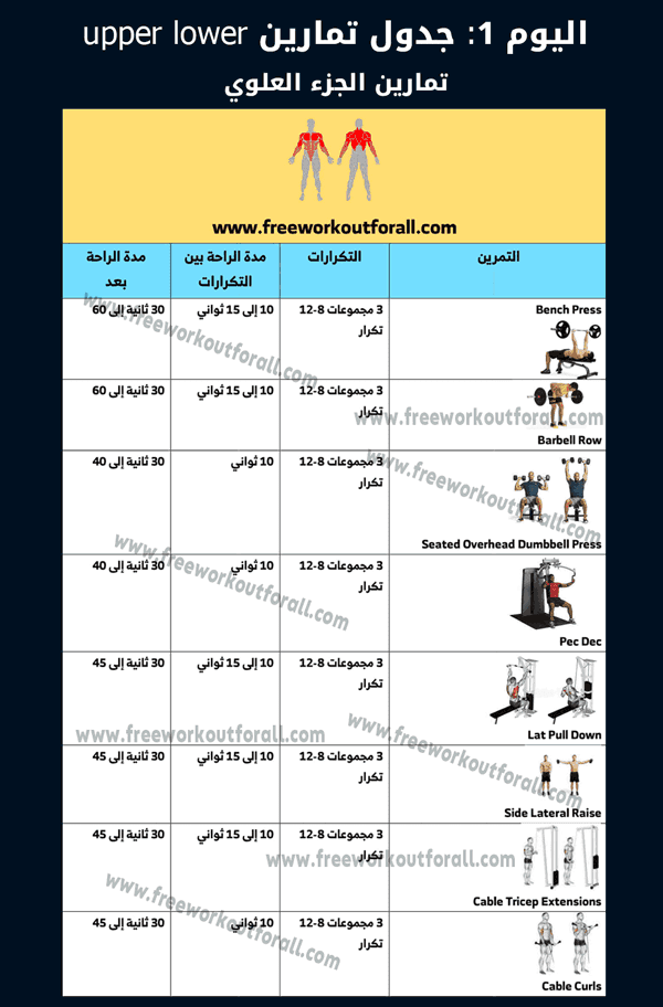 جدول تمارين upper lower بالصور