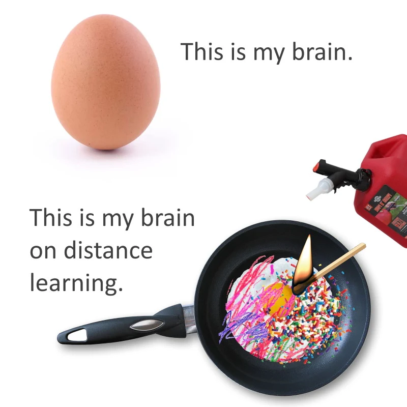 Distance schooling meme with egg and frying pan