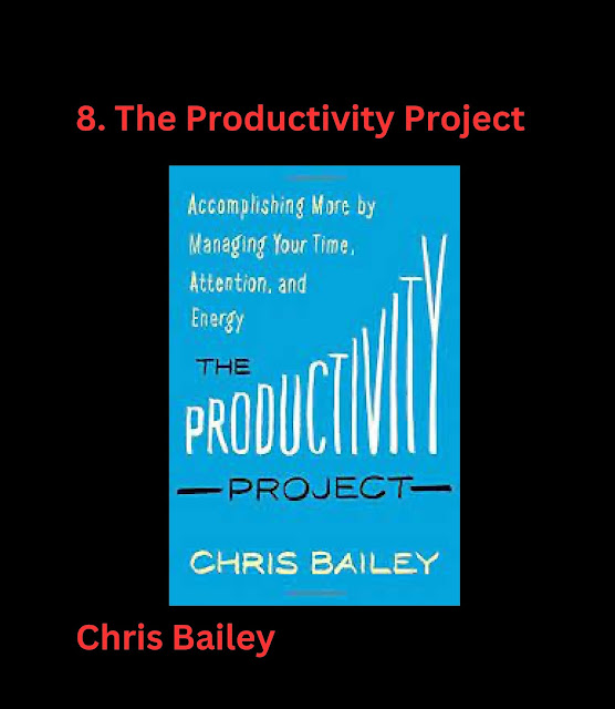 The Productivity Project by Chris Baily