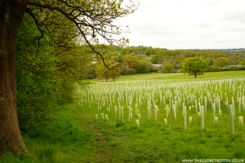 Section 17 of the London LOOP