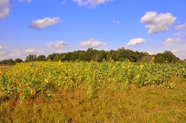 IMG_0043