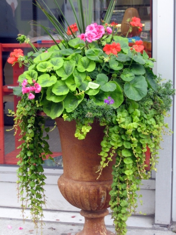 beautiful flower pot ideas Container Gardens Ideas Design | 600 x 800