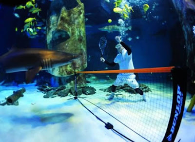 Unusual Underwater Events Seen On www.coolpicturegallery.us
