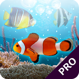 MARINE AQUARIUM