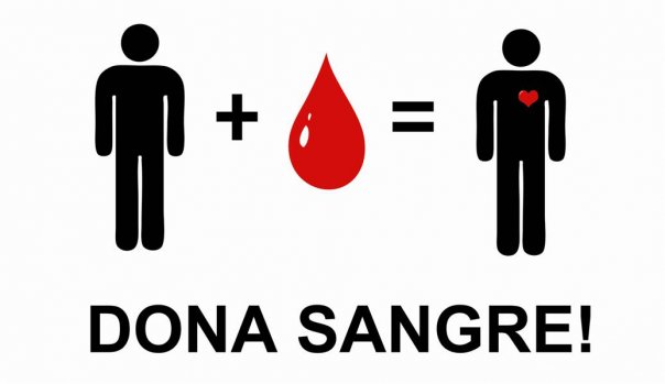 componentes de la sangre. componentes de la sangre. componentes de la sangre; componentes de la sangre