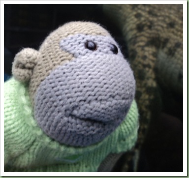 Paington Zoo 14