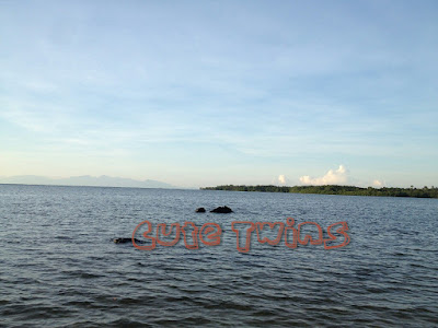 Cara Menuju Pantai Bama TN Baluran Situbondo