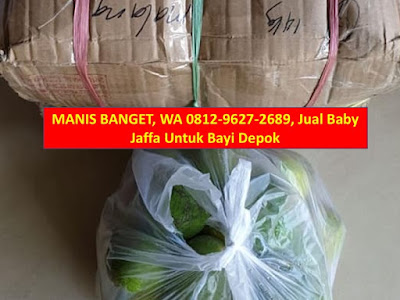 Jual Baby Jaffa Untuk Bayi Depok, Cara Makan Jeruk Baby Java Depok, Jeruk Baby Java Depok, Distributor Jeruk Baby Java Depok, Distributor Jeruk Baby Depok