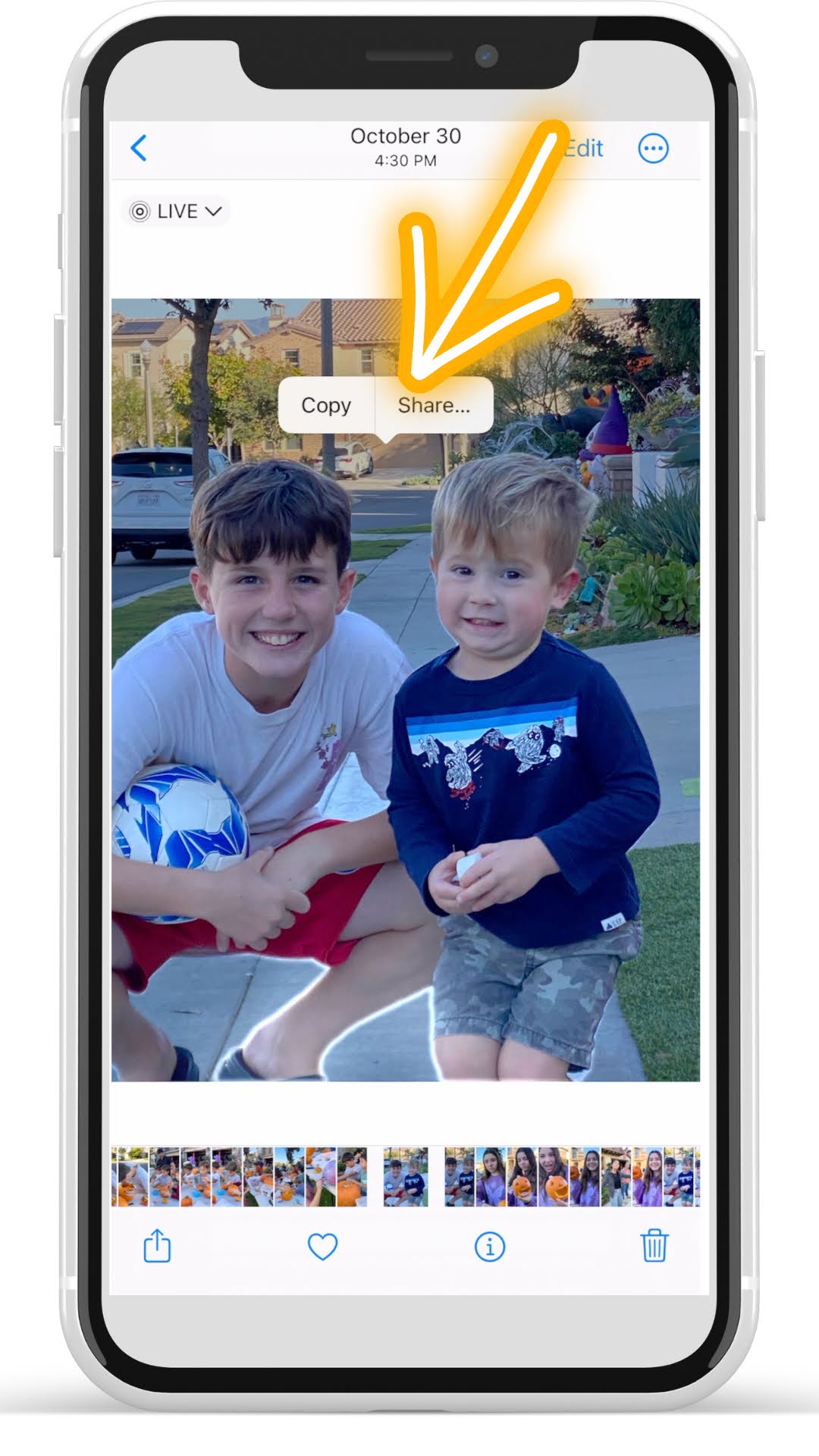 How to Remove Photo Backgrounds on iPhone and Open in Silhouette Studio -  Silhouette School