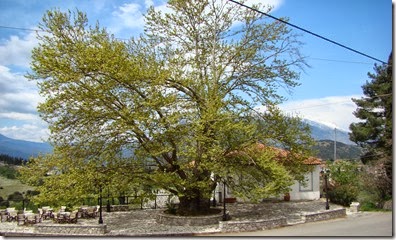 DSC06448