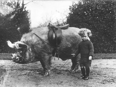 Divertidas fotografías antiguas de niños con su mascota