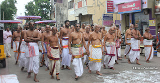 Kodai UTsavam,Thiruvallikeni, Sri PArthasarathy Perumal, Temple, 2017, Video, Divya Prabhandam,Utsavam,