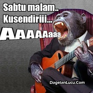 Gambar Kata2 Meme Lucu Hari Sabtu Malam Minggu