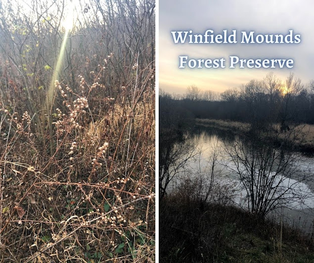 Appreciating the Spiritual Nature of Winfield Mounds Forest Preserve in West Chicago, Illinois