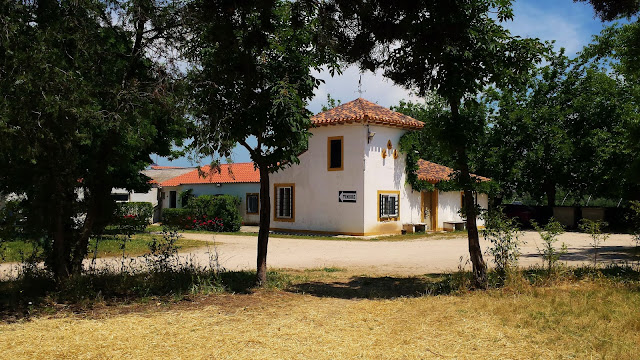 Finca Monjarama