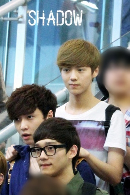 Exoなherringbone色 Exoの名前の秘密 Exoなherringbone色 Exoの名前の秘密