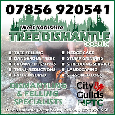 Tree Surgeons Harrogate