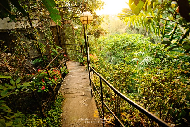 Bridge Overlooking a Ravine at Casa Rap